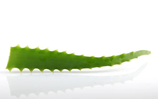 Aloe vera — Foto de Stock