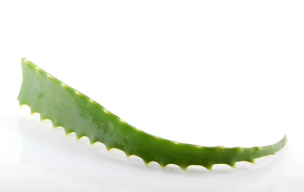 Aloe Vera — Stockfoto