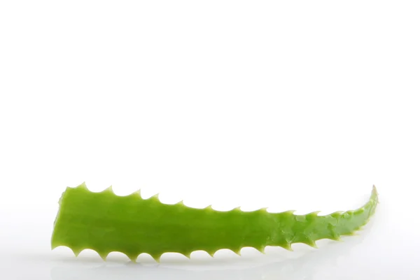 Aloe vera —  Fotos de Stock