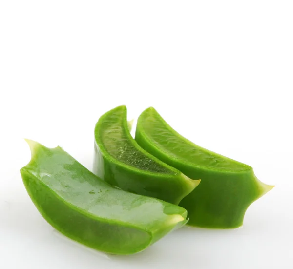 Aloe vera — Fotografia de Stock