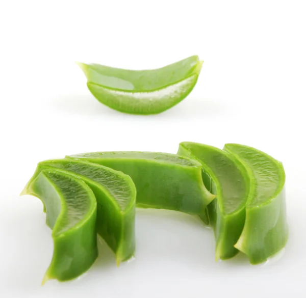 Aloe vera — Foto Stock