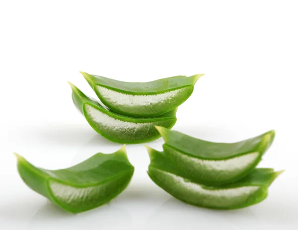 Aloe vera — Stok fotoğraf