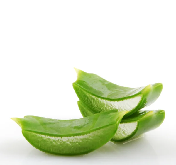 Aloe vera — Stock Photo, Image