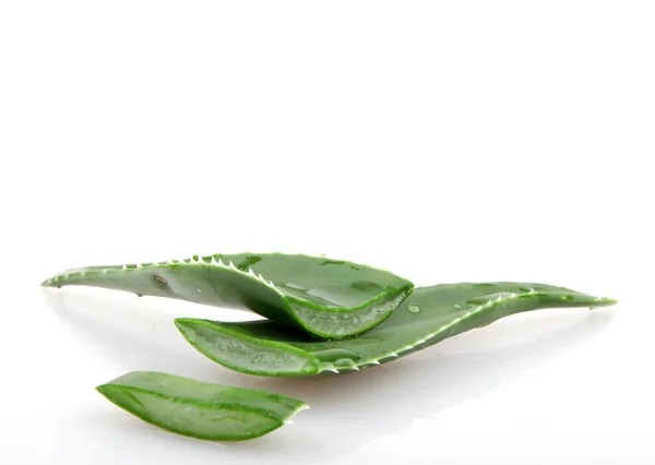 Aloe Vera — Stockfoto