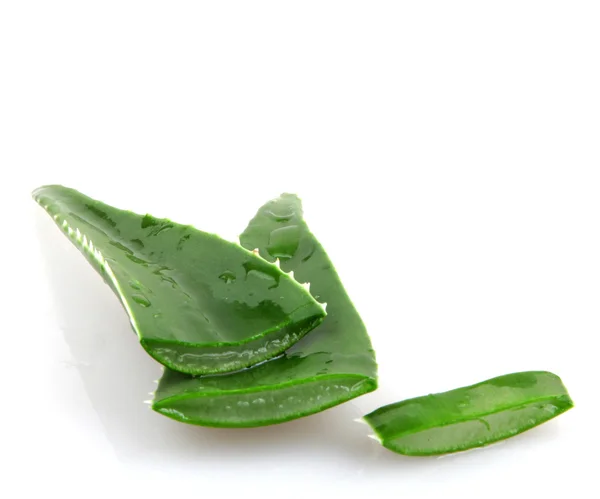 Aloe vera — Stockfoto