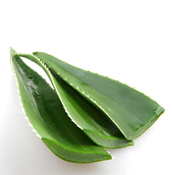 Aloe vera — Foto de Stock