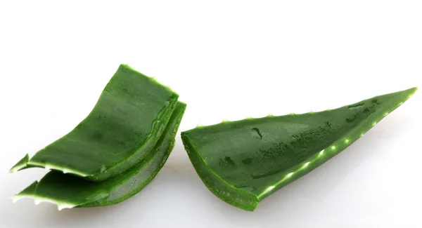 Aloe vera — Fotografia de Stock