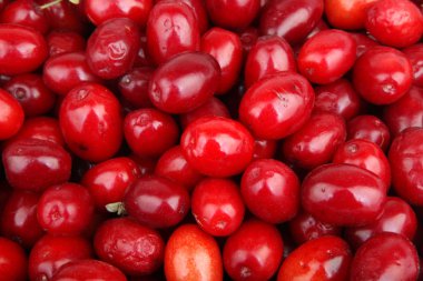 Stok Fotoğraflar - renkli görüntü