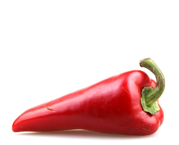 Red Pepper — Stock Photo, Image