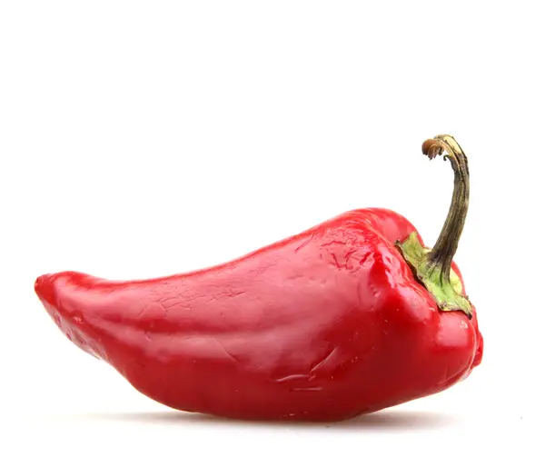 Röd paprika — Stockfoto