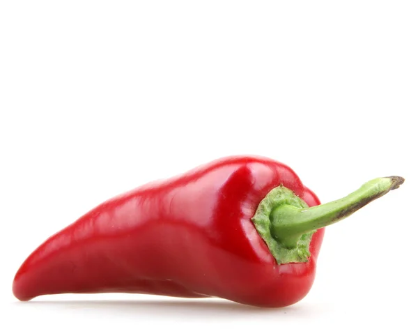 Paprika — Stockfoto