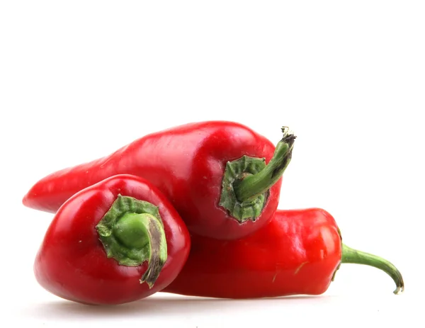 Röd paprika — Stockfoto