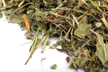 Alchemilla