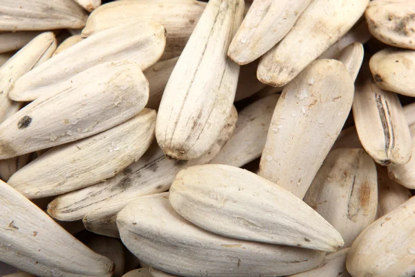 Organic sunflower seed — Stock Photo, Image