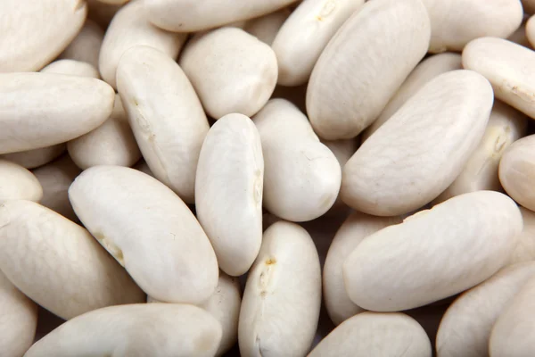 Haricot beans — Stock Photo, Image