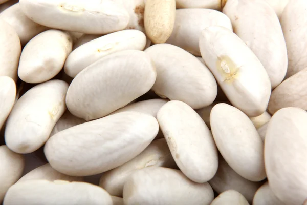 Haricot beans — Stock Photo, Image