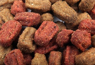 Stok Fotoğraflar - renkli görüntü