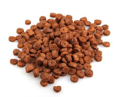 evde beslenen hayvan yiyecek beyaz izole