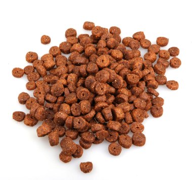 evde beslenen hayvan yiyecek beyaz izole