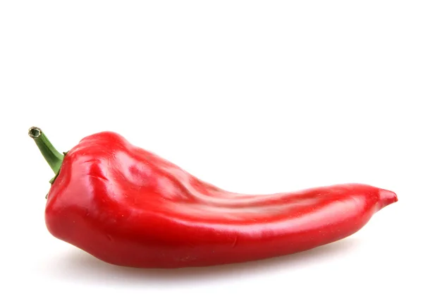 Κόκκινη πιπεριά — Φωτογραφία Αρχείου