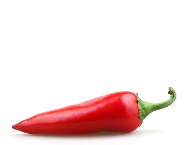 Röd paprika — Stockfoto