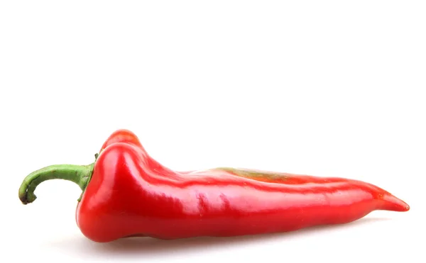 Röd paprika — Stockfoto