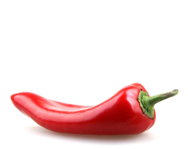 Paprika — Stockfoto