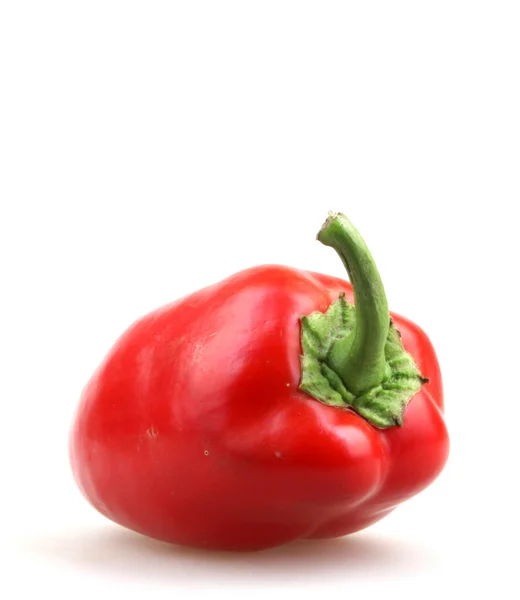 Paprika — Stockfoto