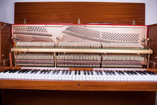 Zongora Stock Kép