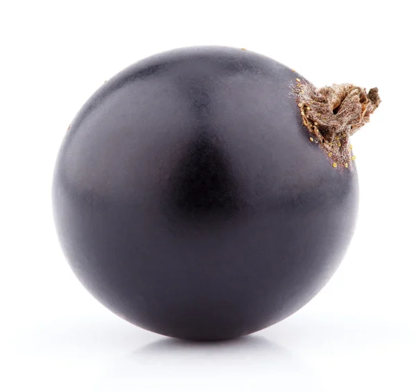 Black currant berry on white — Stock Photo, Image