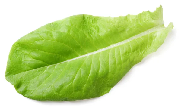 Lettuce Green Leaf Salad Isolated White Background Clipping Path — Stock Photo, Image