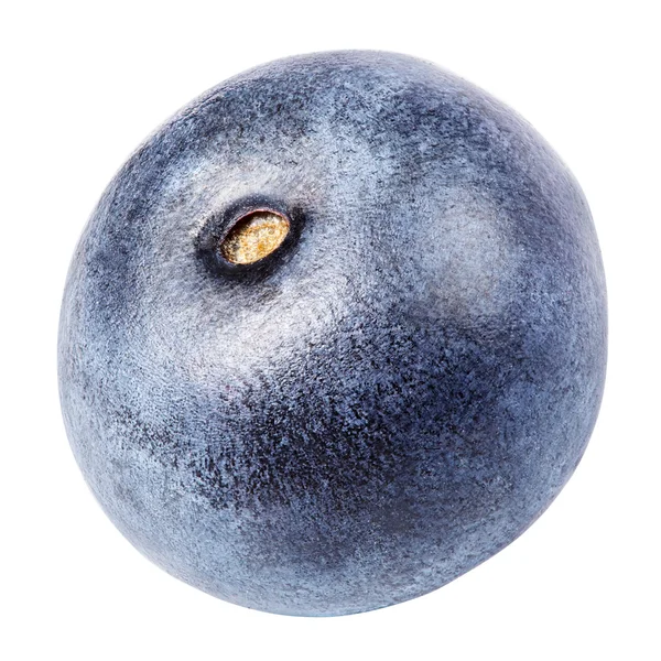 Blueberry berry isolated on white — Stock Photo, Image