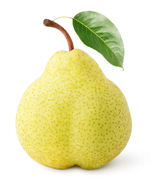 Gula päron frukt med leaf isolerad på vit — Stockfoto