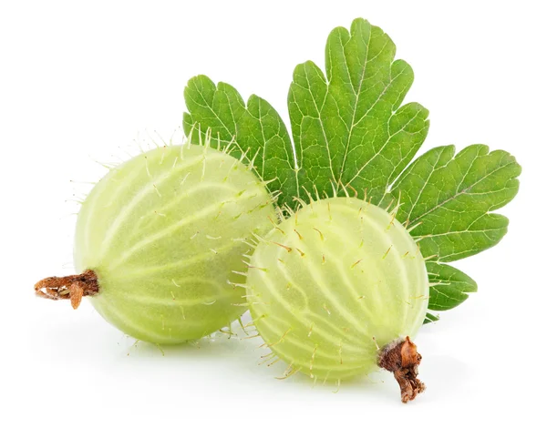Green gooseberry with leaf on white — Stock Photo, Image