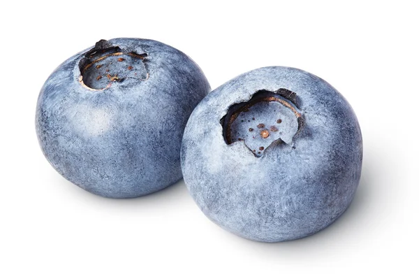 Par av blåbär bär isolerad på vit — Stockfoto