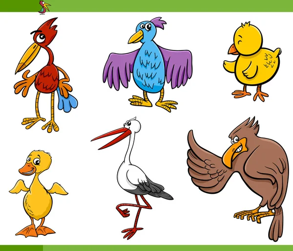 Aves desenho animado conjunto ilustração — Vetor de Stock