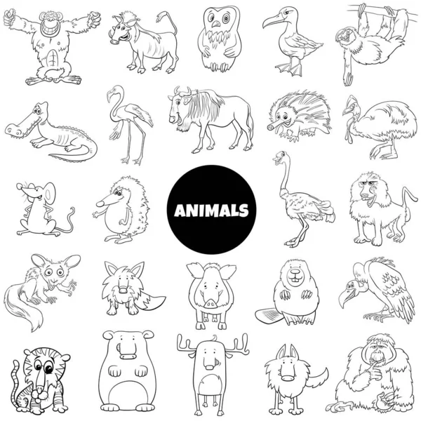 Black White Cartoon Illustration Funny Wild Animal Characters Big Set — Stock Vector