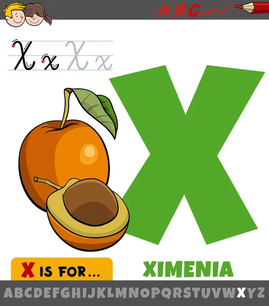 Dibujos Animados Educativos Ilustración Letra Del Alfabeto Con Ximenia Fruta — Vector de stock
