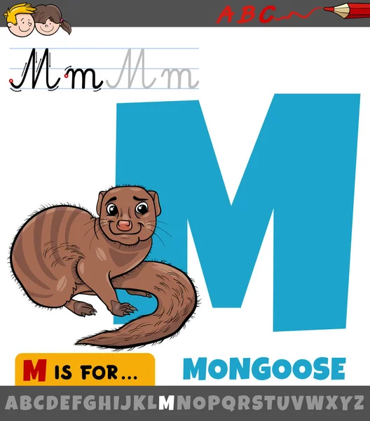 Educational Cartoon Illustration Letter Alphabet Mongoose Children — Stock Vector