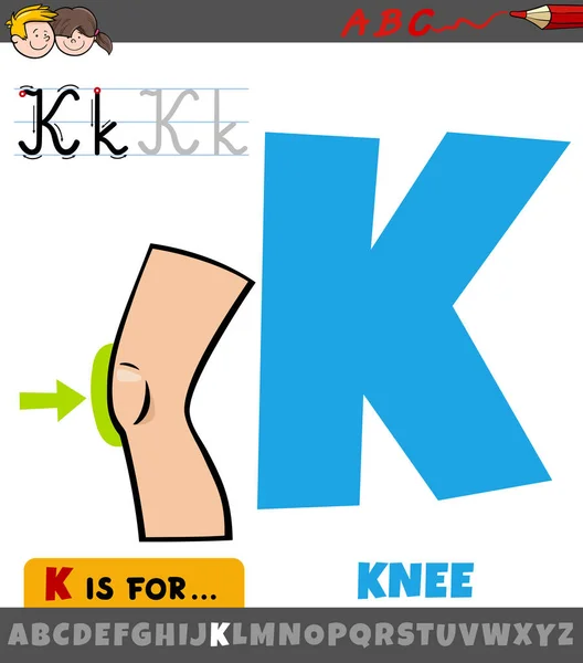 Educational Cartoon Illustration Letter Alphabet Knee Human Body Part Children — Stock Vector