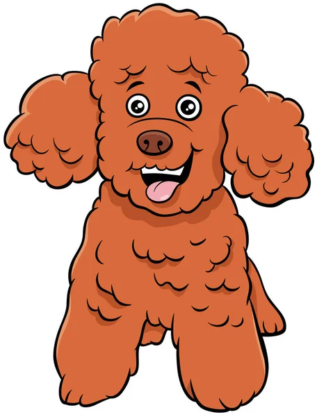 Desenhos Animados Ilustração Brinquedo Miniatura Poodle Puro Cão Personagem Animal — Vetor de Stock