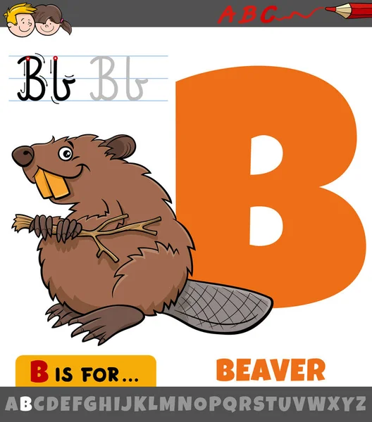 Educational Cartoon Illustration Letter Alphabet Beaver Animal Character Children — Stock Vector