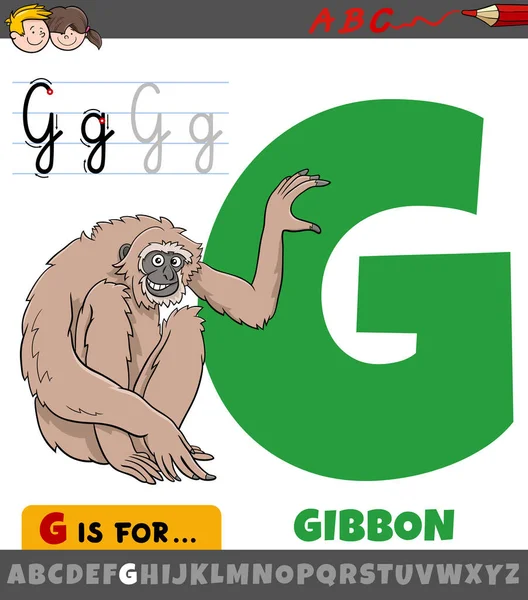 Educatieve Cartoon Illustratie Van Letter Uit Het Alfabet Met Gibbon — Stockvector