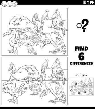 Komik kuşları olan çocuklar için eğitici resimler bulmak için siyah-beyaz çizgi film çizimi. Hayvan karakterleri grubu boyama kitabı sayfası.