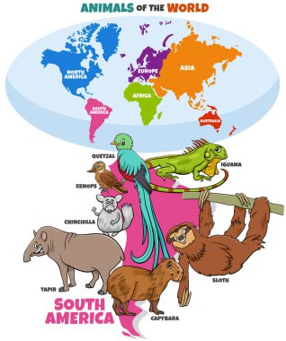 Güney Amerika hayvanlarının eğitici çizimleri ve kıtalarla birlikte dünya haritası