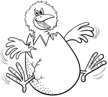 Yumurta boyama kitabının sayfasından çıkan komik küçük civcivin siyah beyaz çizimi