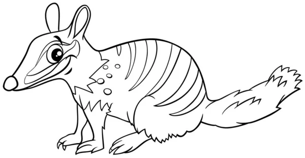 Desenhos Animados Preto Branco Ilustração Engraçado Numbat Comic Animal Personagem —  Vetores de Stock