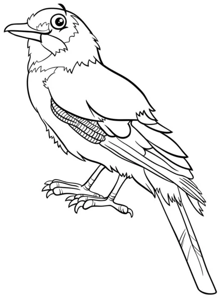 Ilustración Dibujos Animados Blanco Negro Jay Bird Comic Animal Carácter — Vector de stock