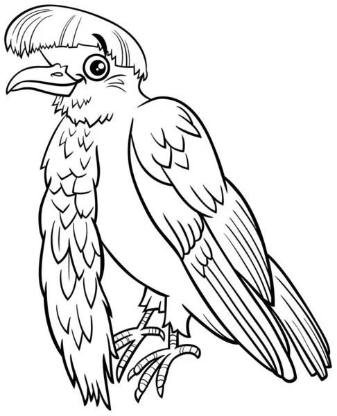 42 Umbrellabird Vector Images Free Royalty Free Umbrellabird Vectors Depositphotos