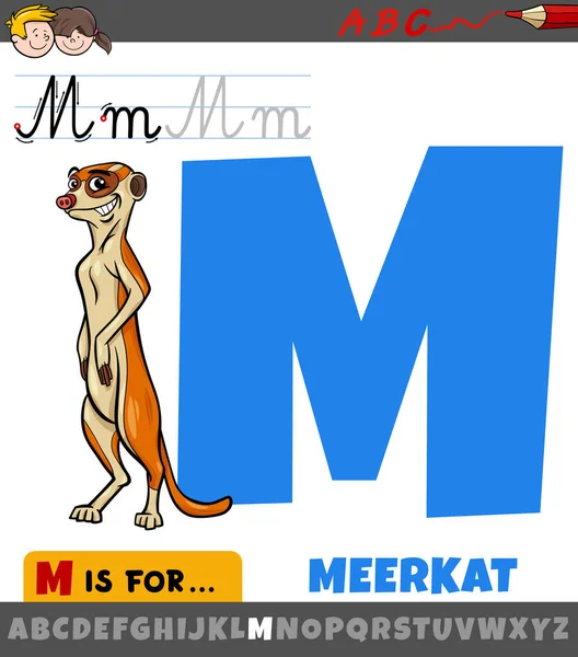 Educational Cartoon Illustration Letter Alphabet Meerkat Animal Character — Stock Vector